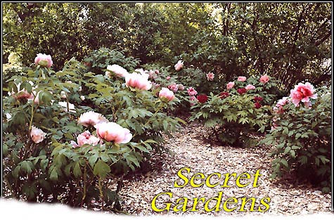 Kansas City Arboretum & Gardens